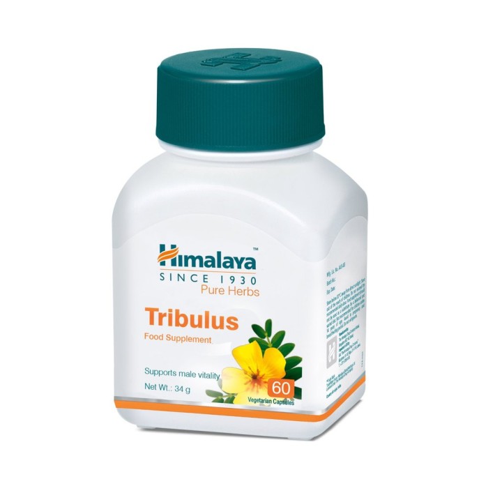 Gokshura (Tribulus Terrestris) - 60 kaps. suplement diety Himalaya Herbals