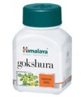 Gokshura (Tribulus Terrestris) - Naturalny testosteron dla mężczyzn 60 kaps. suplement diety Himalaya Herbals