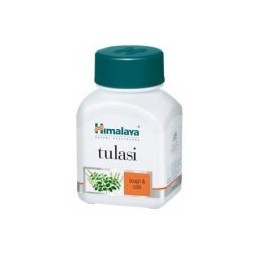 Tulasi ( Tulsi, Holy Basil) Himalaya - HIT na odporność!