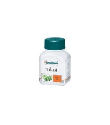 Tulasi ( Tulsi, Holy Basil) Himalaya - HIT na odporność! Tulasi ( Tulsi, Holy Basil) Himalaya - HIT na odporność!