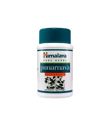 Punarnava Himalaya na odbudowę nerek Punarnava Himalaya na odbudowę nerek