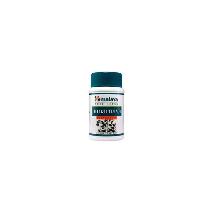 Punarnava Himalaya na odbudowę nerek