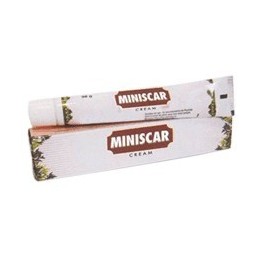 Miniscar Krem Charak 30g