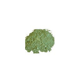 Shankpushpi Proszek 100g (Powder)