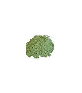 Shankpushpi Proszek 100g (Powder)