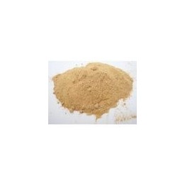 Amla (Amalaki) Proszek 100g (Powder) - Naturalna witamina C