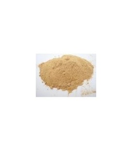 Amla (Amalaki) Proszek 100g (Powder) - Naturalna witamina C
