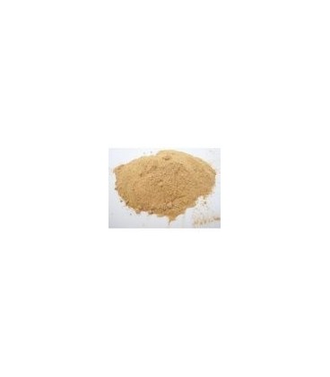 Amla (Amalaki) Proszek 100g (Powder) - Naturalna witamina C