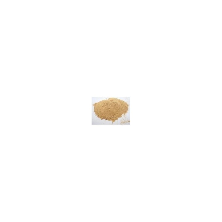 Amla (Amalaki) Proszek 100g (Powder) - Naturalna witamina C