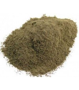 Brahmi Proszek 100g (Powder)