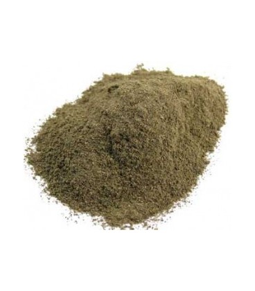 Brahmi Proszek 100g (Powder)