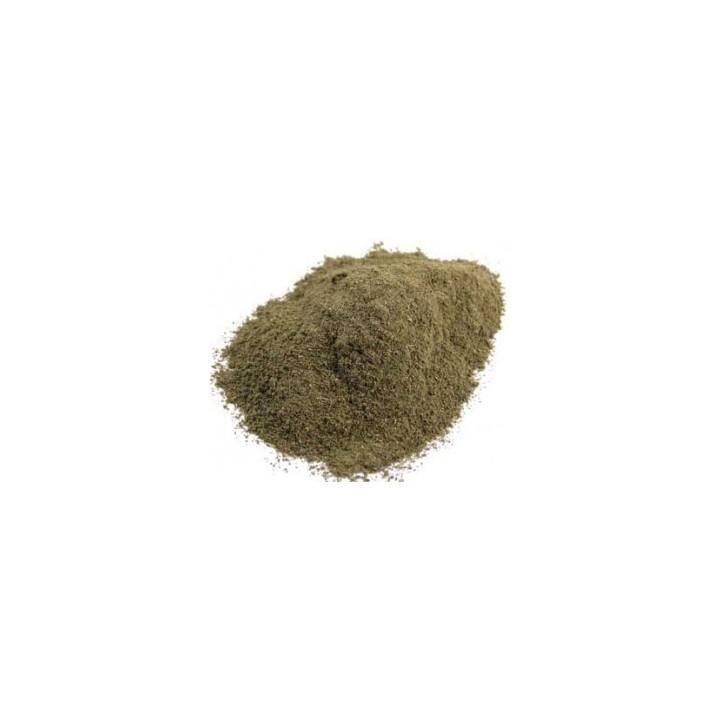 Brahmi Proszek 100g (Powder)
