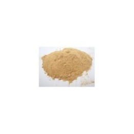 Punarnava Proszek 100g (Powder)