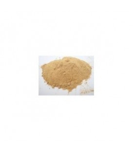 Punarnava Proszek 100g (Powder)