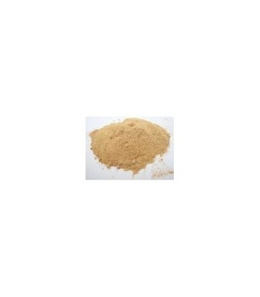 Punarnava Proszek 100g (Powder)