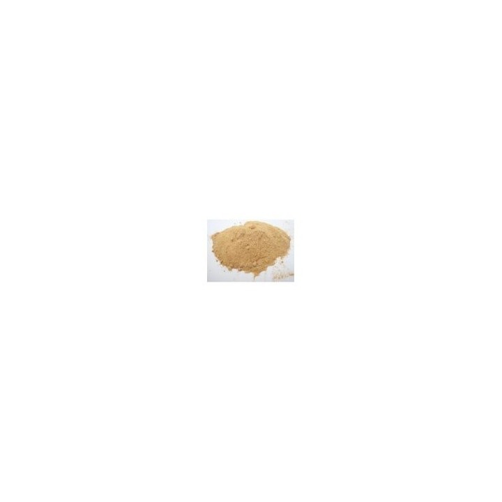 Punarnava Proszek 100g (Powder)