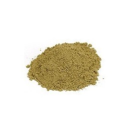 Guduchi Proszek 100g (Powder)