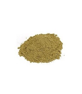 Guduchi Proszek 100g (Powder)