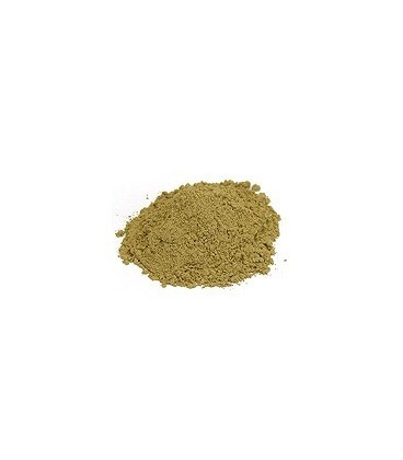 Guduchi Proszek 100g (Powder)