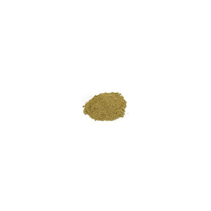 Guduchi Proszek 100g (Powder)
