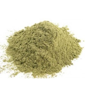 Bhringraj Proszek 100g (Powder)