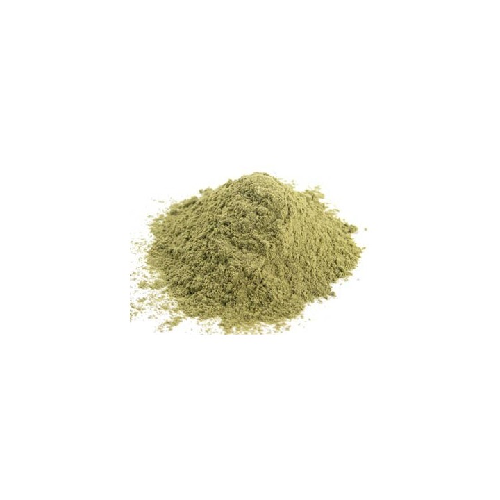 Bhringraj Proszek 100g (Powder)