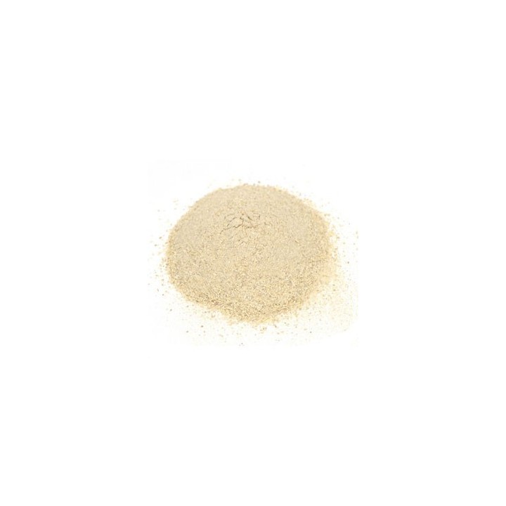 Ashwagandha Proszek 100g (Powder)