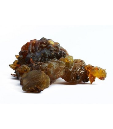 Guggul (Commiphora wightii) indyjska żywica 100g Guggul (Commiphora wightii) indyjska żywica 100g