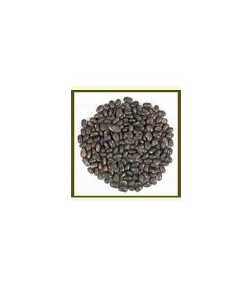Kapikachhu (Mucuna pruriens) nasiona 100g Kapikachhu (Mucuna pruriens) nasiona 100g