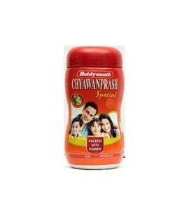 Chyavanprash 1 Kg Baidyanath - Ajurwedyjska odmładzająca pasta ziołowo-owocowa