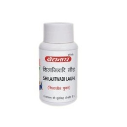 Baidyanath Shilajitwadi Lauh 40 T