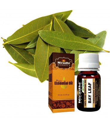 Olejek eteryczny Czysty 100% LAUROWY 15ml Niradhi Herbals Olejek eteryczny Czysty 100% LAUROWY 15ml Niradhi Herbals