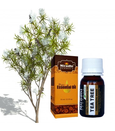 Olejek eteryczny czysty 100% DRZEWO HERBACIANE 15ml Niradhi Herbals Olejek eteryczny czysty 100% DRZEWO HERBACIANE 15ml Niradhi Herbals