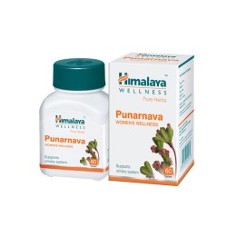 Punarnava Himalaya na odbudowę nerek
